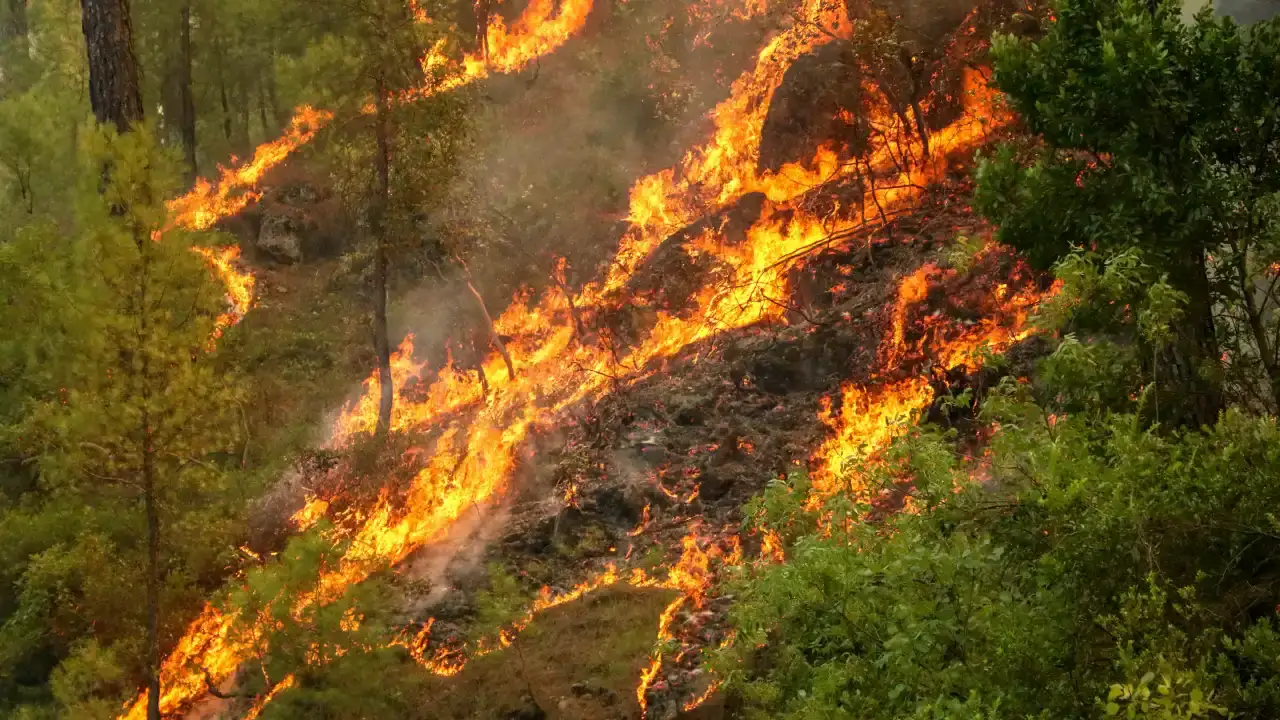 Antalya’nın Ormanları Tehdit Altında, Yangınlar Artıyor 1